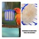 thumbnail image 3 of BESTYASH 4Ud Cesta Para Pájaros Con Instalación Fácil Y Uso Multifuncional Para Mascotas, 3 of 6