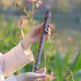 thumbnail image 2 of EIGTHTAIL8 Hole Flute Musical Instrument Clarinet Children’s Toys Descant Flauta Recorder for Beginners Professional, 2 of 6
