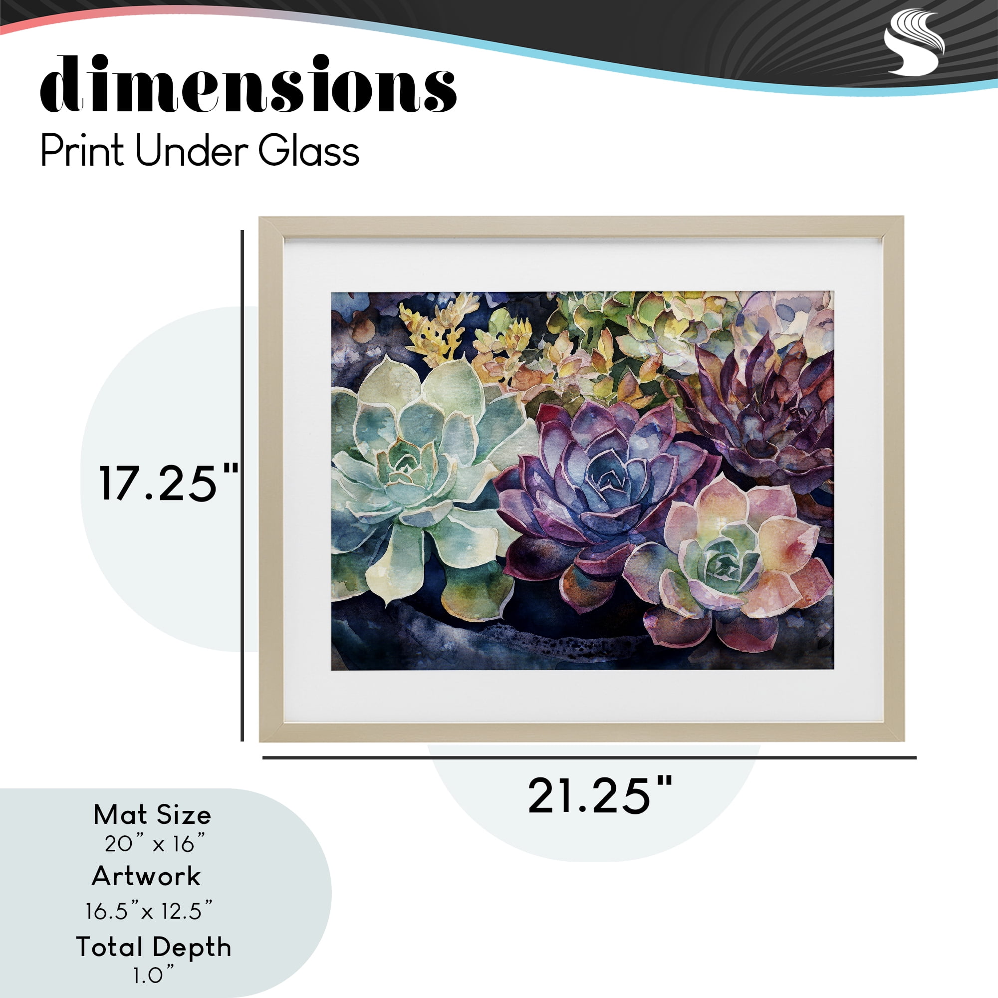 Stupell Industries Tutti Succulents Collection Birch Framed Print Under Glass, design by Svetlana Aleynikova