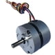 thumbnail image 2 of Motor DC Sin Escobillas, Motor Eléctrico, 0.055 N.m 36V 0.6A, Cuerpo de 4 Derivaciones 50 Mm para Impresora CNC / 3D kusrkot Mini motores eléctricos, 2 of 6