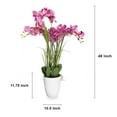 thumbnail image 2 of 49" Artificial Phalaenopsis Pink Orchid in Pot, 2 of 5