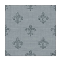 Trademark Fine Art 'French Farmhouse Step 03D' Canvas Art by Pela Studio