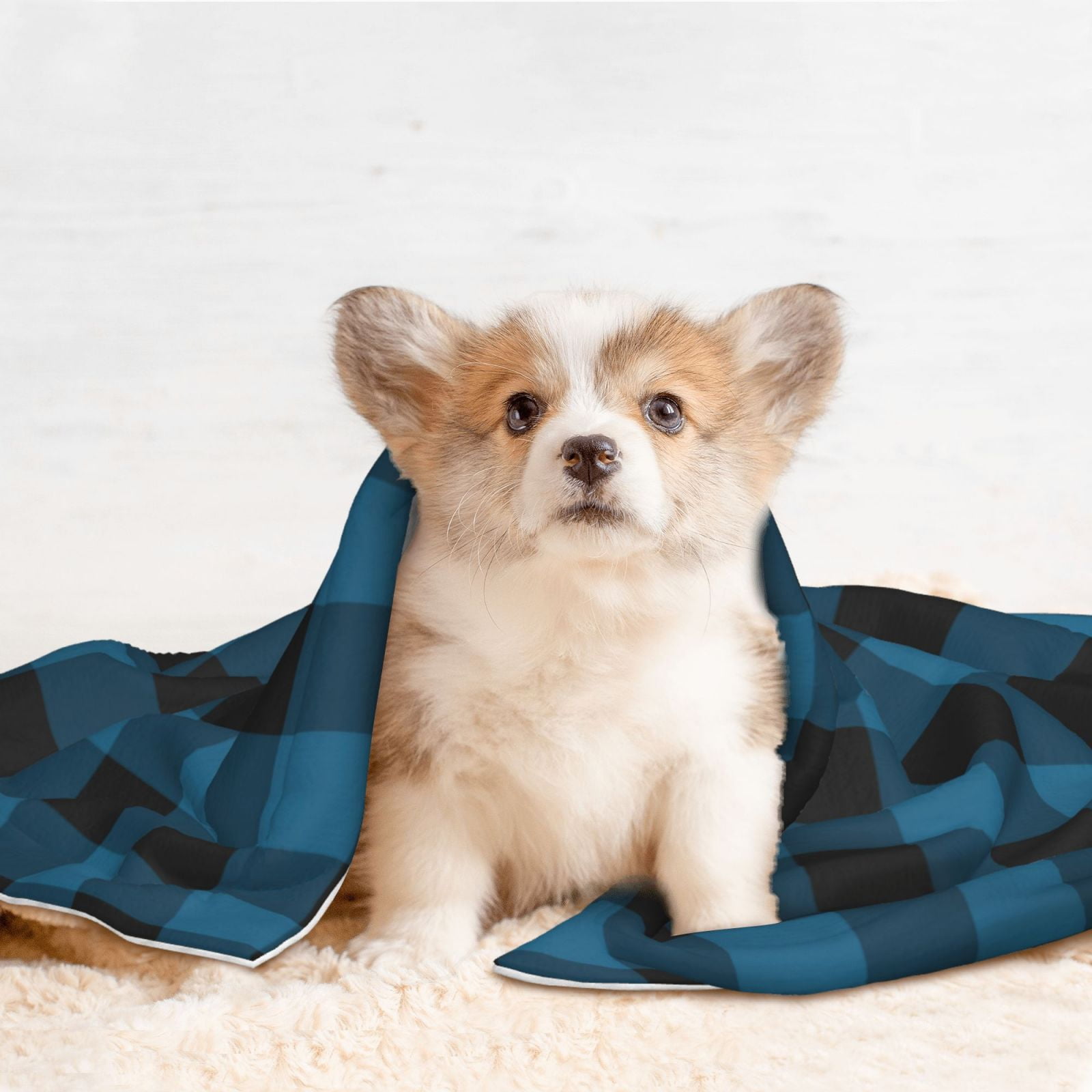Naloa Blue Black Plaid Dog Blanket, 3 Sizes Cat Blanket for Indoor Cats Large Medium Small Dog Gifts-Small