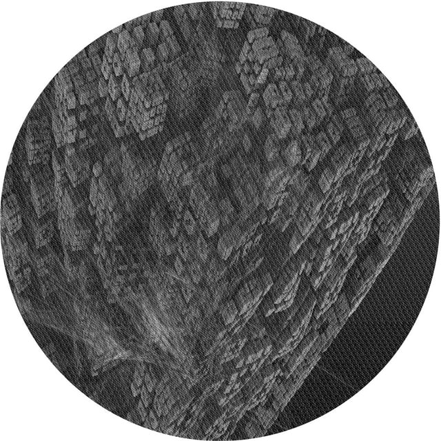 Ahgly Company Tapis Rond Lavable en Machine Intérieur Transitionnel Noir Charbon, 3 Pieds Rond
