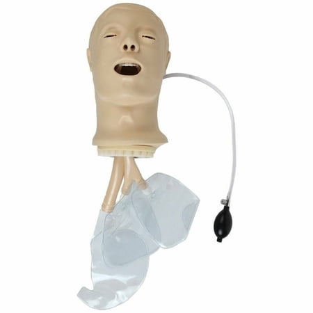 Anatomy Lab Airway Management Trainer price history on PriceWatchPro