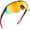 Rubberized Black | Red Mirror, variant on Sport Shield Sunglasses for Men Women Cycling Running Baseball UV400 Sun Glasses Wrap Around TR90 Frame