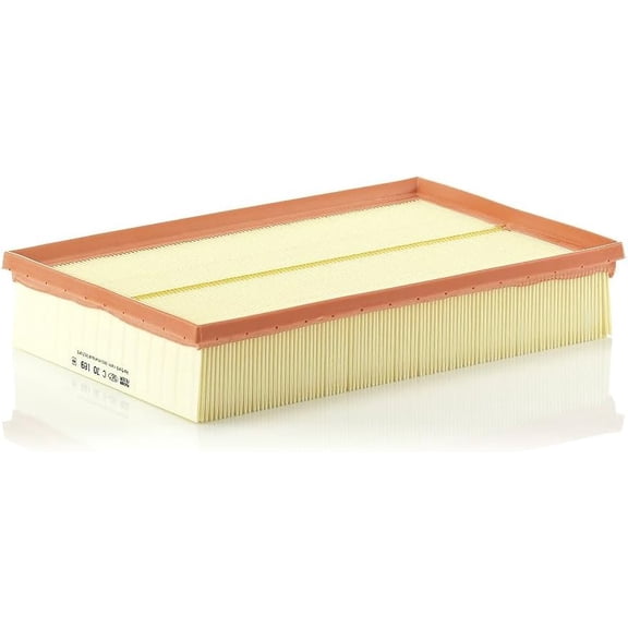 MANN-FILTER C 30 189 - Engine Air Filter