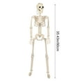thumbnail image 3 of LmnLft Life Size Poseable Hanging Skeleton Decoration with Movable Joints, Full Body Halloween Prop for Indoor Outdoor Yard Haunted House and Party Displays, 3 of 9