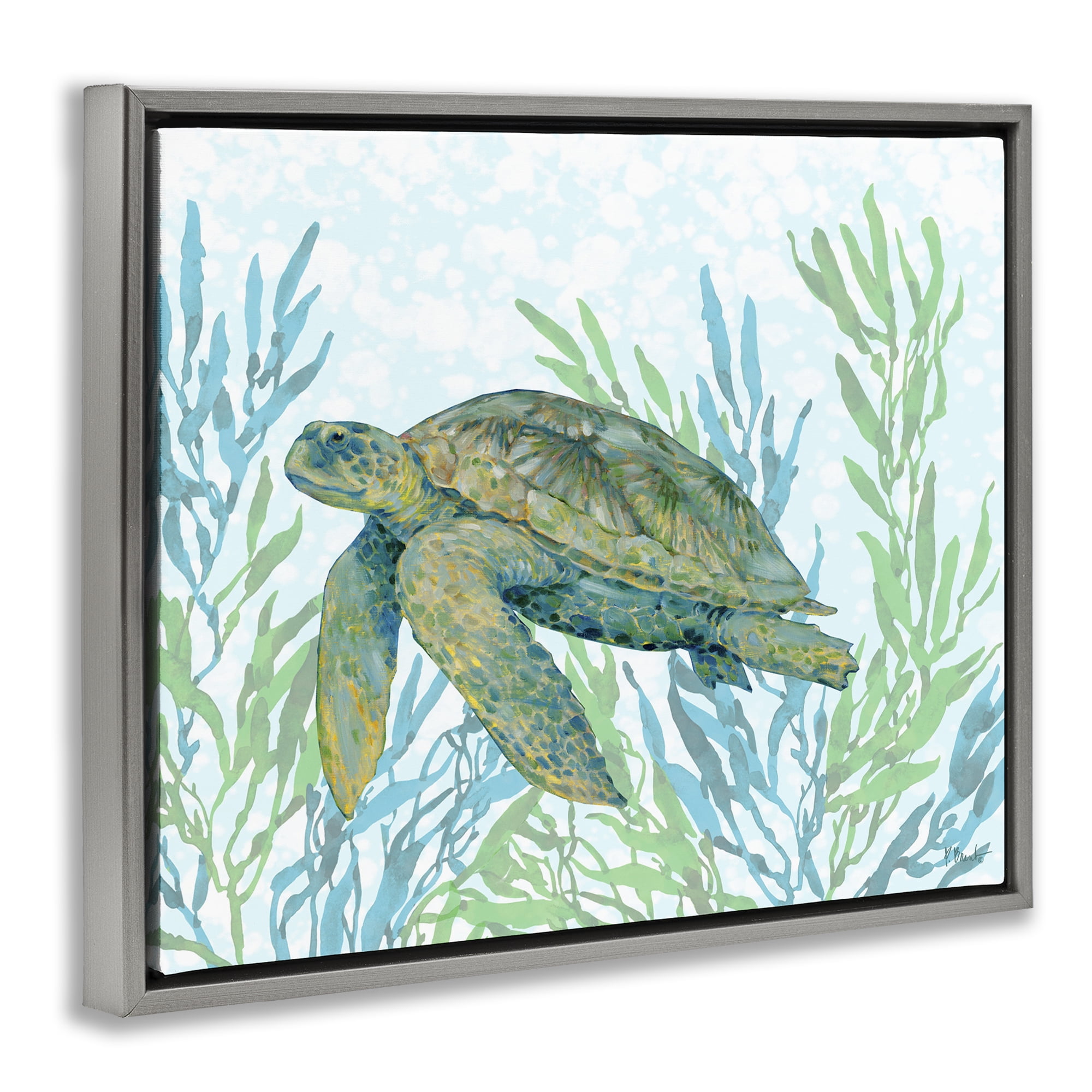Stupell Industries Tasman Turtle in Seagrass Gray Framed Floater Canvas Wall Art, design by Paul Brent