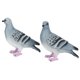 thumbnail image 2 of Decoración De Estatuilla De Palomas De Animales De Simulación, Decoración De Jardín, 2 Uds. Patio De Parque De Patio Para Patio De Decoración Del Hogar Mgaxyff Otros, 2 of 8