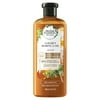 Herbal Essences bio:renew Golden Moringa Oil Smoothing Shampoo, 13.5 fl oz