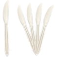 thumbnail image 6 of PAMI Plastic Knives Medium Weight Plastic Knife Disposable Cutlery, 1000-Pack, 6 of 6