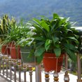 thumbnail image 3 of justharion Hanging Plant Shelf Balcony Flower Pot Stand Stainless Steel Support Tray for Railing Outdoor Fence, 3 of 7