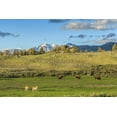 thumbnail image 2 of Galloimages Online 14x11 Gold Ornate Wood Framed with Double Matting Museum Art Print Titled - Lamar Valley - Pronghorn And Bison, 2 of 4