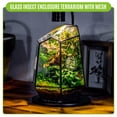 thumbnail image 5 of NCYP Close Geometric Glass Enclosure Terrarium with Vent Holes for Insects, Home Gardening, 5 of 11