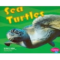thumbnail image 1 of Pre-Owned Sea Turtles (Under the Sea (Capstone Paperback)) Paperback, 1 of 1