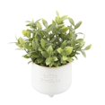 thumbnail image 1 of Flora Bunda FA5678E-IVORY Tealeaf in MD Hello Pumpkin Ceramic Footed Pot 5X5X4.75, 1 of 1