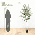 thumbnail image 3 of 6FT Artificial Olive Tree in Black Plastic Pot, 1pc/set, 3 of 12