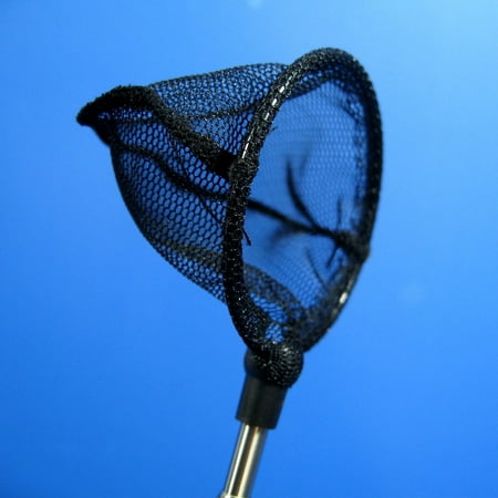 - Shrimp and fish NET Round (S) Crystal Red Shrimp Cherry bee stainless steel moss