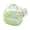 Y6-Green, variant on Hamster Carrier Cage Portable Small Animal Travel Carrier with Water Bottle for Hamsters Guinea Pigs Gerbils Chinchillas Dwarf Hamsters Indoor Outdoor Use,Pink