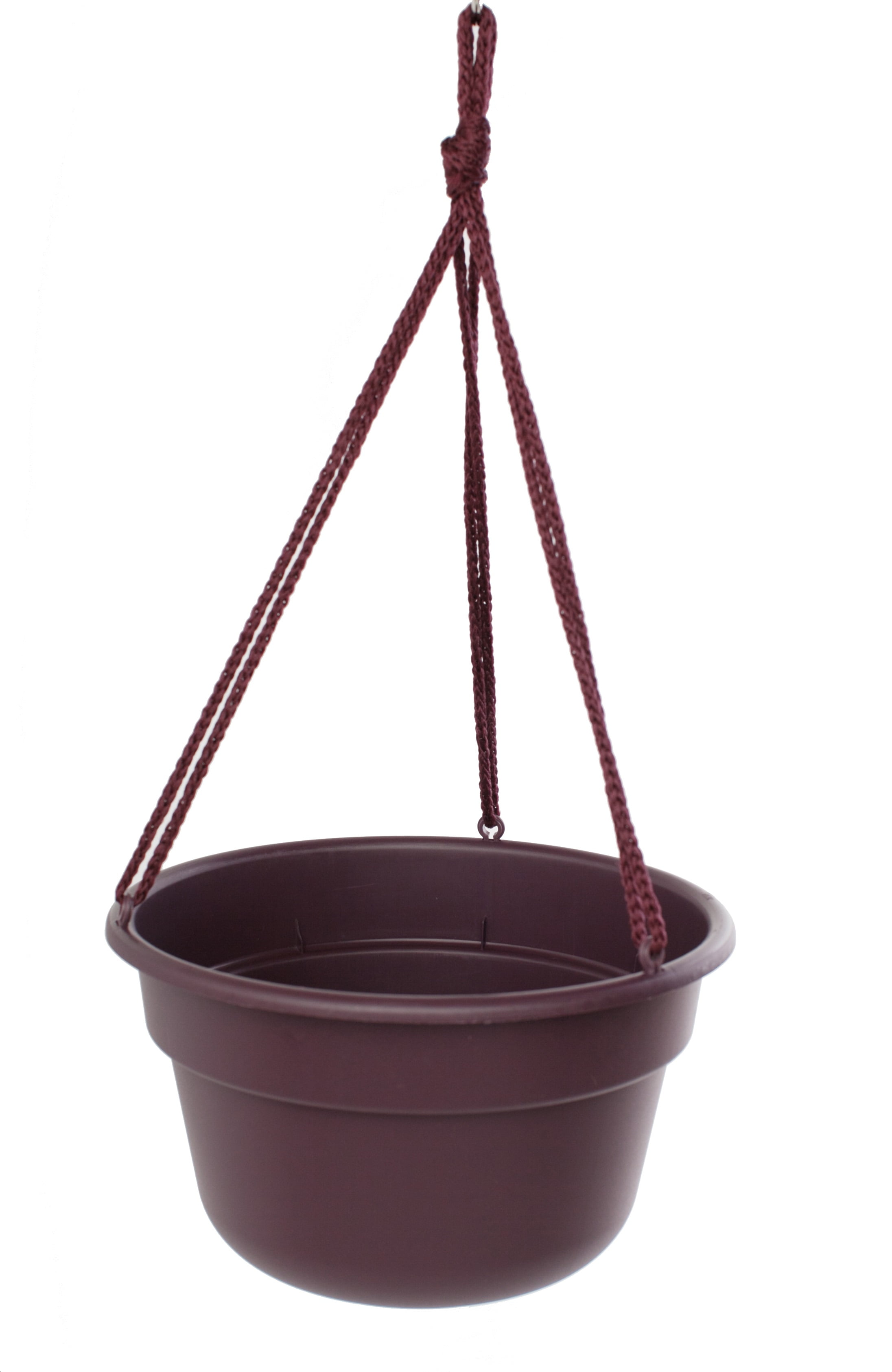 Bloem Dura Cotta Hanging Basket 12" Exotica