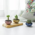 thumbnail image 6 of Mightlink Small Ceramic Succulent Planter Pot with Drainage Hole, Ice Crack Glaze Porcelain Handicraft Plant Container Gift for Home Office Desk Decoration - Random Color, 5PCS, 6 of 8