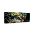 thumbnail image 4 of Stupell Industries Fox in Sunlit Forest Animals & Insects Photography Gallery Wrapped Canvas Art Print Wall Art, 40 x 17, 4 of 8