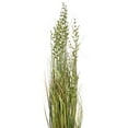 thumbnail image 2 of Vickerman 36" PVC Artificial Potted Green and Brown Grass and Plastic Grass., 2 of 5