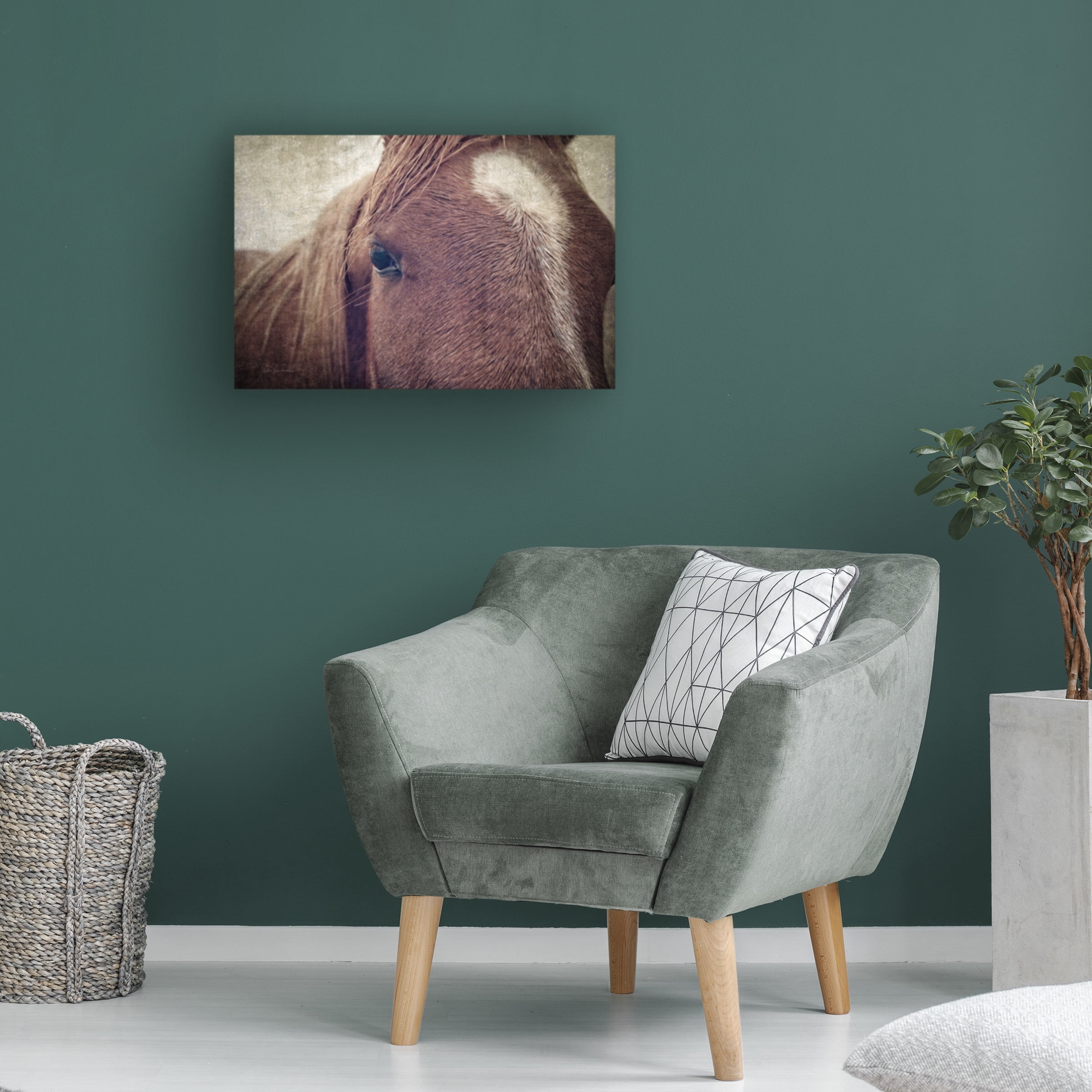 Debra Van Swearingen 'Dew Lashes' Canvas Art