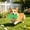 Green, variant on Cififendec Candy Plush Dog Chew Toy, 6.29"×2.75", Embroidery Stuffed Bite Resistant Sound Toy for Dog Indoor Backyard Boredom Relief Interactive Pet Plaything