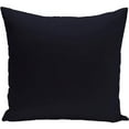 thumbnail image 1 of Simply Daisy 16" x 16" Solid Outdoor Pillow, 1 of 1