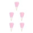 thumbnail image 1 of ZheElen 3pieces Intimate Atmosphere With Artificial Pampas Reed Non-shedding And No Light Pink 5Set, 1 of 6