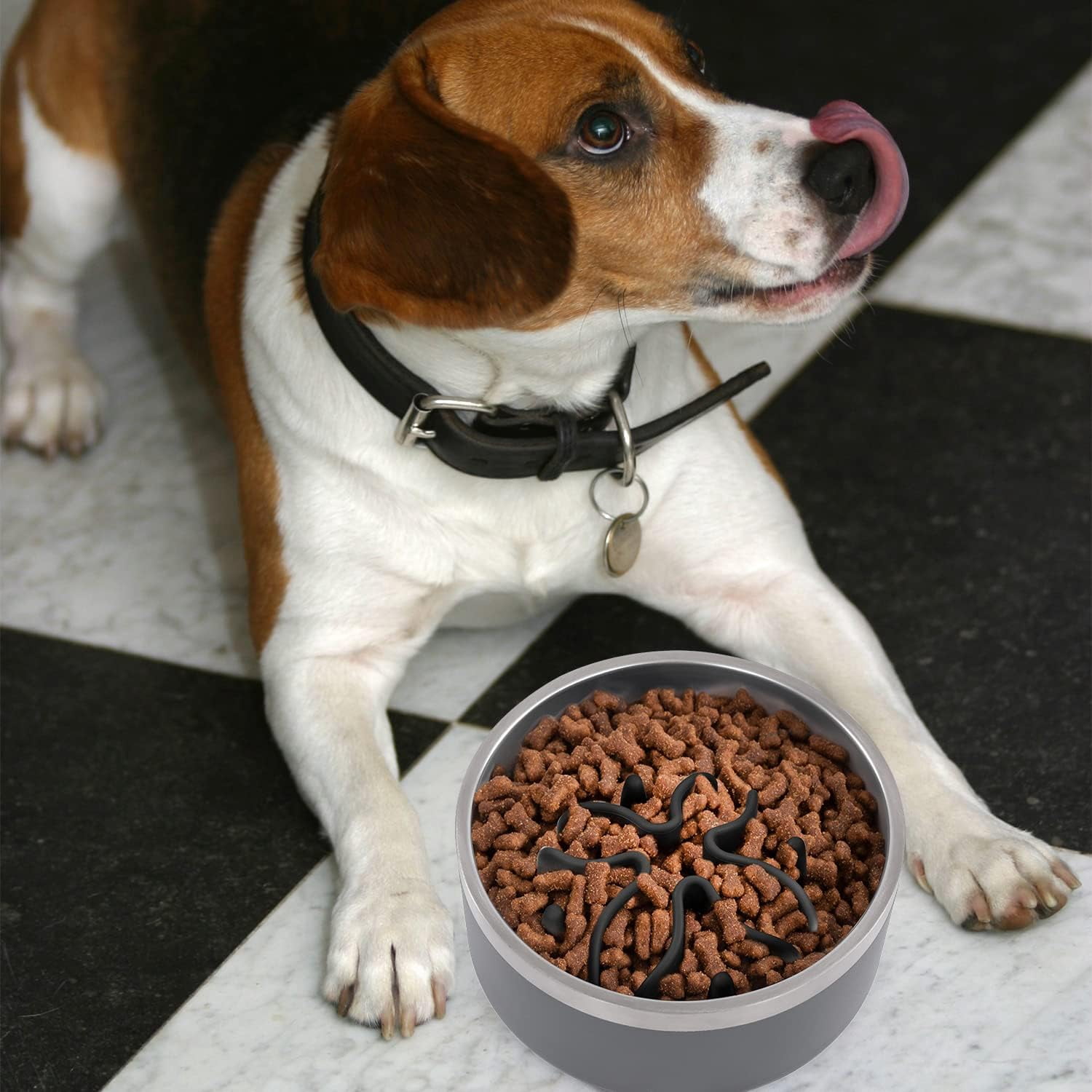 Slow Feeder Dog Bowls Insert, Puzzle Slow Feeder Insert with 51 Octopus Suction Cups for Medium Large Size Dog Food Bowl Over 6.5" Wide (Black)
