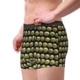 thumbnail image 2 of Pofeuu Cactus Farmland Print Men’s Boxer Briefs, Moisture-Wicking Underwear, Regular,Trunk-Small, 2 of 5