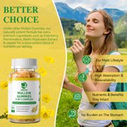 (2 Pack)Mullein Gummies for Lungs – Mullein Supplement with Quercetin, Elderberry for Respiratory & Immune Support, Lung Breathing & Detox, 60 Pineapple Gummies