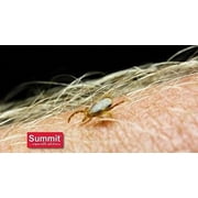 Summit 1 Qt. Concentrate Tick & Flea Killer 018-6