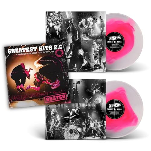 Greatest Hits 2.0: Another Present for Everyone (LP)