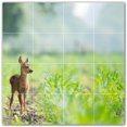 thumbnail image 1 of Picture-Tiles.com: Deer Ceramic Tile Wall Mural WAL500470-44S. 17"W x 17"H using (16) 4.25" x 4.25" Ceramic Tiles-Satin Finish, 1 of 3