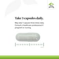 thumbnail image 4 of Terry Naturally Be Mobile - 60 Capsules (Pack of 2), 4 of 7
