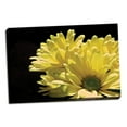 thumbnail image 2 of Gango Home Decor Contemporary Yellow Daisy II by Monika Burkhart (Ready to Hang); One 36x24in Hand-Stretched Canvas, 2 of 4