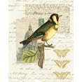 thumbnail image 2 of Vision Studio 26x32 White Modern Wood Framed Museum Art Print Titled - Naturalists Collage IV, 2 of 4