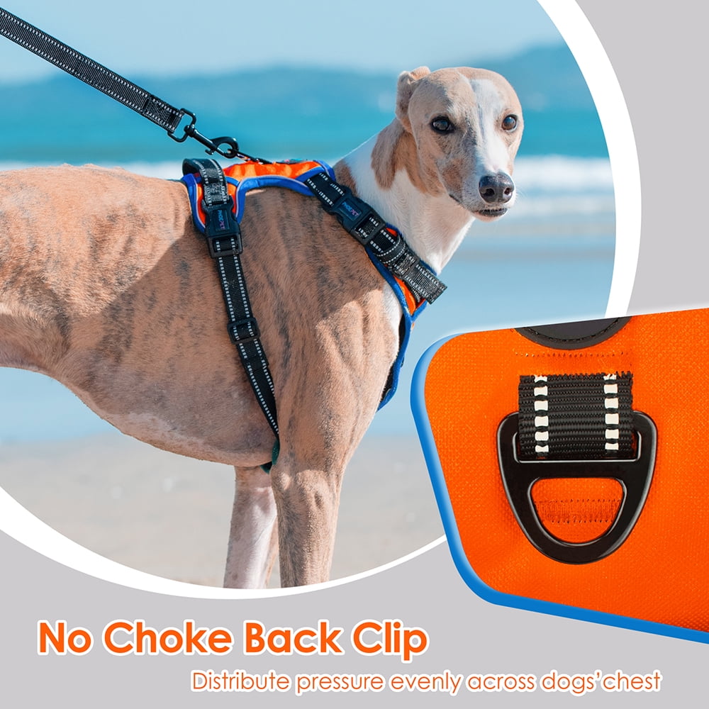 PHOEPET 2019 Upgraded No Pull Dog Harness, Reflective Adjustable Vest, with a Training Handle + 2 Metal Leash Hooks+ 3 Snap Buckles +4 Slide Buckles