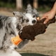 thumbnail image 4 of La simulación hará que el juguete para perros emita un sonido. El perro grande interactivo Self Hi de la Fundación Ke., 4 of 8