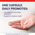 thumbnail image 2 of Metagenics L-Carnitine - Amino Acid Supplement to Support Fat Metabolism* - 30 Servings, 2 of 7