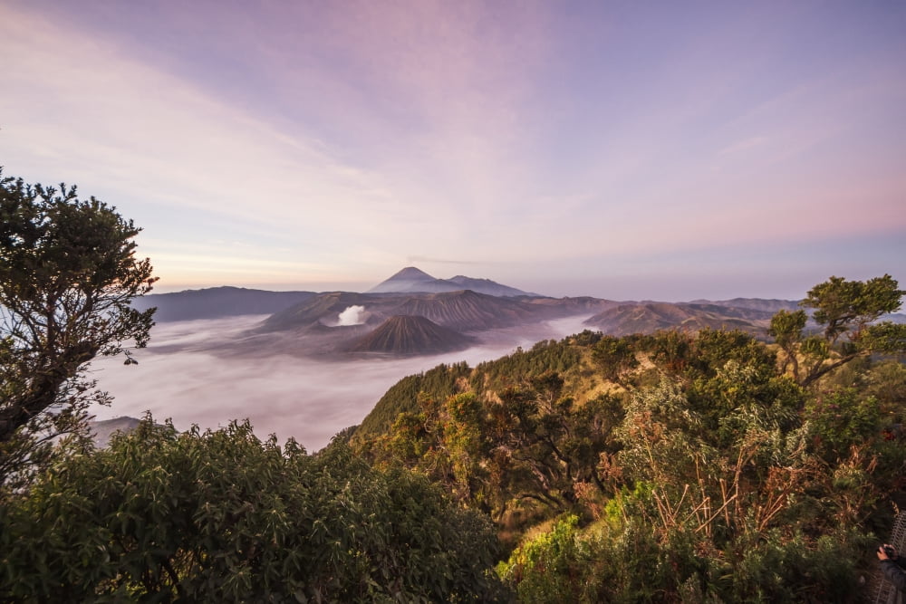 Tengger Caldera with steaming Mount Bromo Mount Batok and Mount Semeru in the background seen from the western viewpoint at dawn Bromo Tengger Semeru National Park East Java Indonesia Canvas Art - Pet