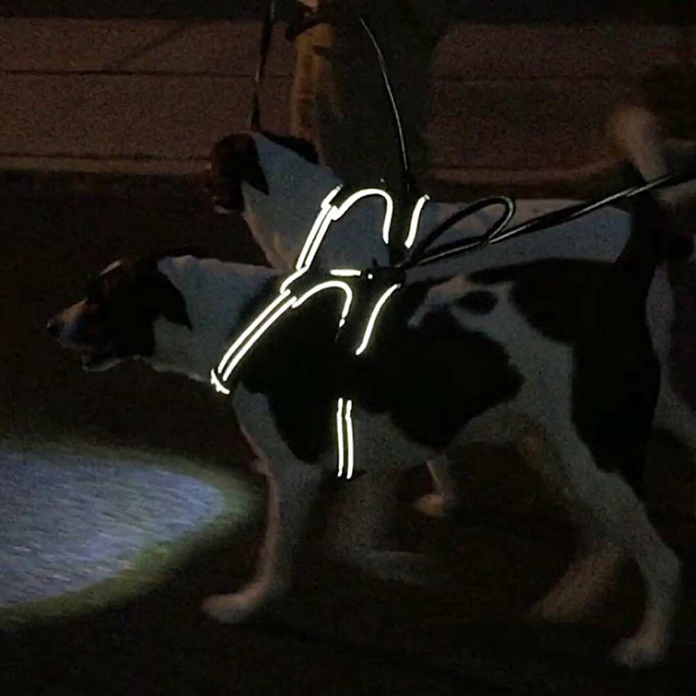 Headlight Harness Dog Safety Harness (Black, Large)