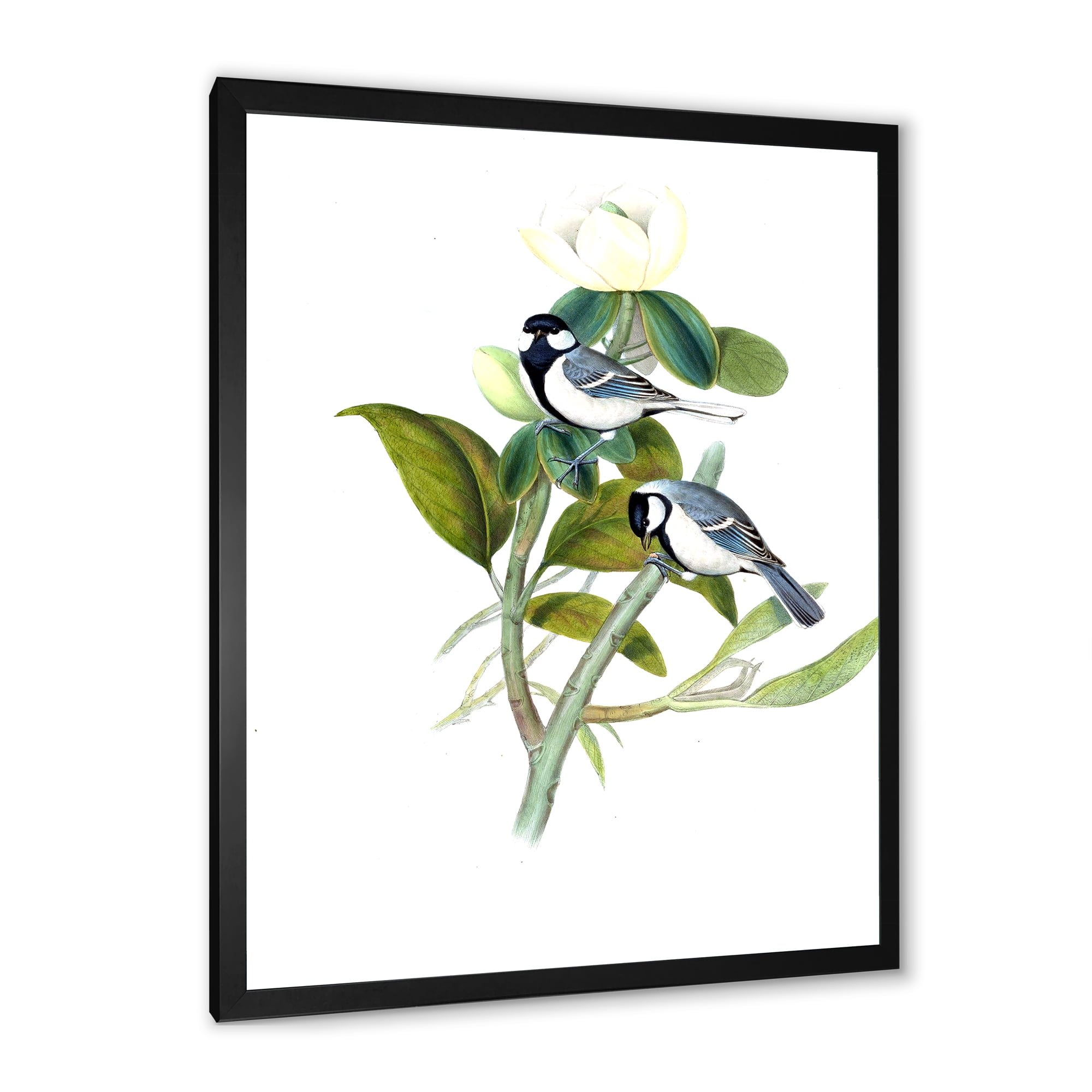 Designart 'Vintage Countryside Birds On Branch I' Farmhouse Framed Art Print