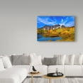 thumbnail image 3 of Trademark Fine Art 'Beauty Of Nature' Canvas Art by Ata Alishahi, 3 of 3