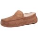 thumbnail image 1 of Zapatillas UGG Ascot Chestnut de gamuza resistente al agua para hombre, 1 of 1