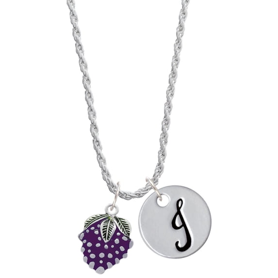 Delight Jewelry Silvertone Purple Grapes Silvertone Script Initial Disc - J - Charm Necklace, 20"+3"